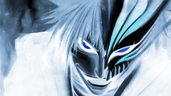 Bleach kurosaki ichigo Hollow