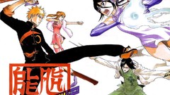 Bleach kurosaki ichigo inoue