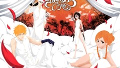 Bleach kurosaki ichigo inoue