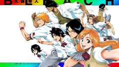 Bleach kurosaki ichigo inoue