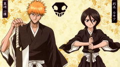 Bleach kurosaki ichigo kuchiki