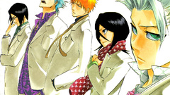 Bleach kurosaki ichigo kuchiki