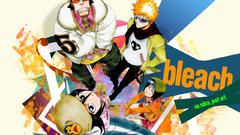 Bleach kurosaki ichigo kuchiki