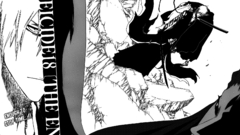 Bleach kurosaki ichigo Manga