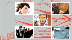 Bleach kurosaki ichigo Zaraki