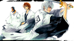 Bleach Manga Anime
