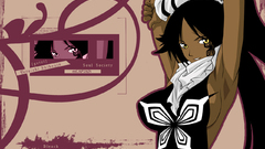 Bleach shihouin yoruichi