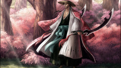 Bleach Shunsui Kyoraku