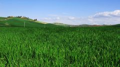 Bliss landscape nature Tuscany