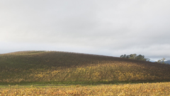 Bliss location The actual