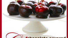 Blog looks liek chocolate