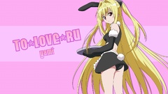Blondes bunny girls to