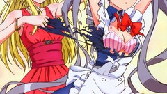 Blondes dress stockings maids