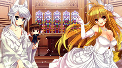 Blondes kanokon animal ears