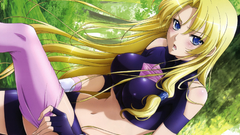 Blondes legendary legend The