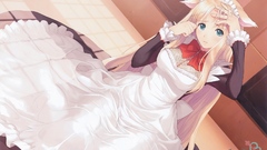 Blondes tony taka dress