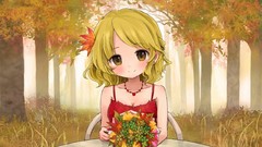 Blondes touhou autumn Aki
