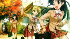 Blondes Trees blue eyes