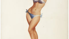 Blondes woman bikini pinups