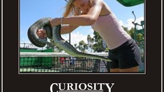 Blondes woman curious funny