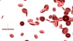 Blood barcode multiscreen cells