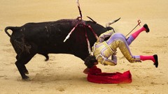 Blood Bull Matador bull fight