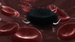 Blood cells