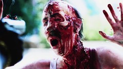 Blood Dawn of the Dead zombies