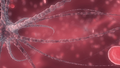 Blood here cells not some sure bloodcells