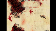 Blood slayer painted Maps