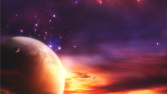 Blossom coming home wide