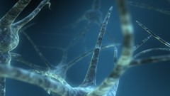 Blue abstract neurons dual screen