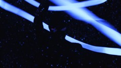 Blue Animal Collective