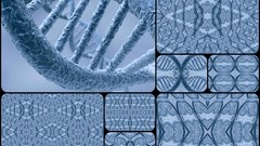 Blue biology DNA cells