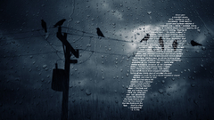 Blue dark rain Birds