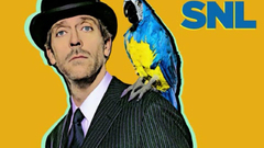 Blue eyes Parrots snl