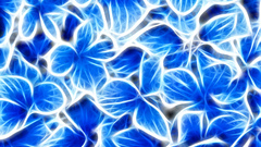 Blue Flowers turned out