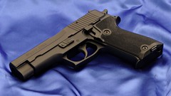 Blue Guns sig sauer