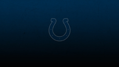 Blue minimalistic horseshoe