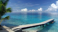 Blue morning has some have somebody