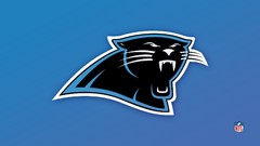 Blue nfl carolina panthers panthers