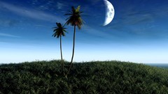 Blue ocean winter Trees