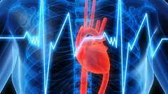 Blue red Hearts human body