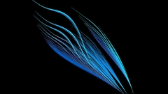 Blue torrents exoteric roach