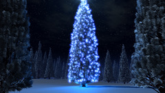 Blue xmas Christmas tree