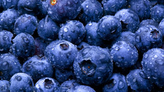 Blueberries