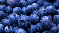 Blueberries fruits macro