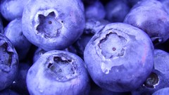 Blueberry