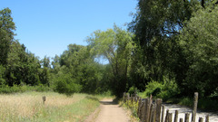 Bluegreyoc5 Last one does