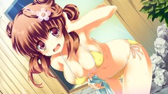 Blush brown eyes game cg cleavage bikini hoshi